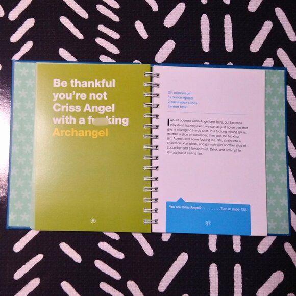 What the F**k Should I Drink? Book - Picture 4 of 5